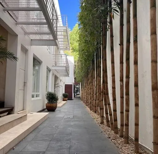 Condesa Amsterdam 103 Sunny 1bed 1bath On Amsterdam Av * México DF