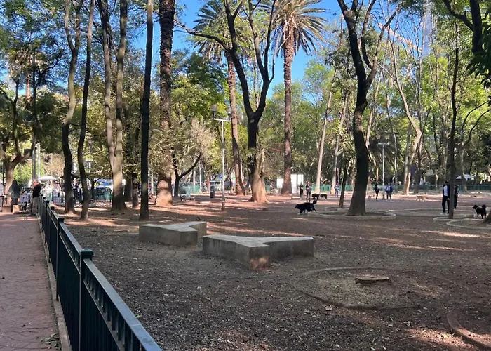 Condesa Amsterdam 103 Sunny 1bed 1bath On Amsterdam Av *